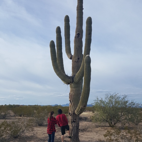 Meet your Posher, Susie - Picture 5 of 5